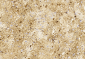 GFAP Antibody